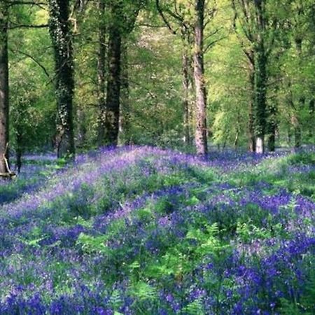 The Cider House Holiday Cottage Welsh Newton Common エクステリア 写真