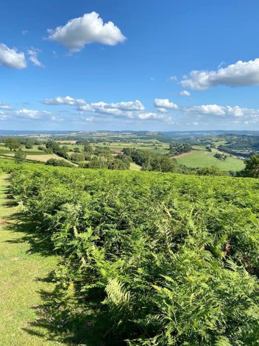 The Cider House Holiday Cottage Welsh Newton Common エクステリア 写真